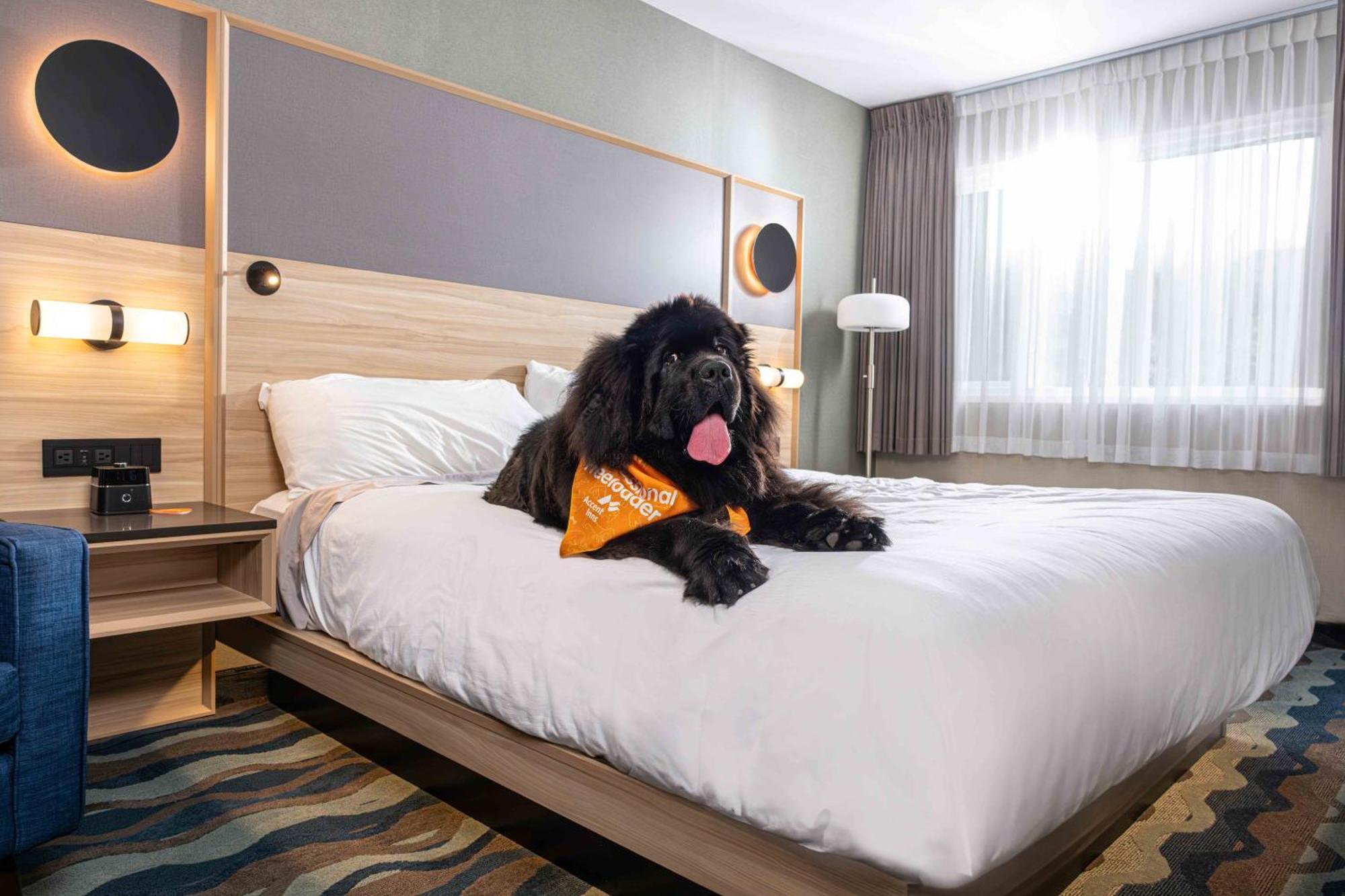 Accent Inns Vancouver Airport Richmond Ngoại thất bức ảnh