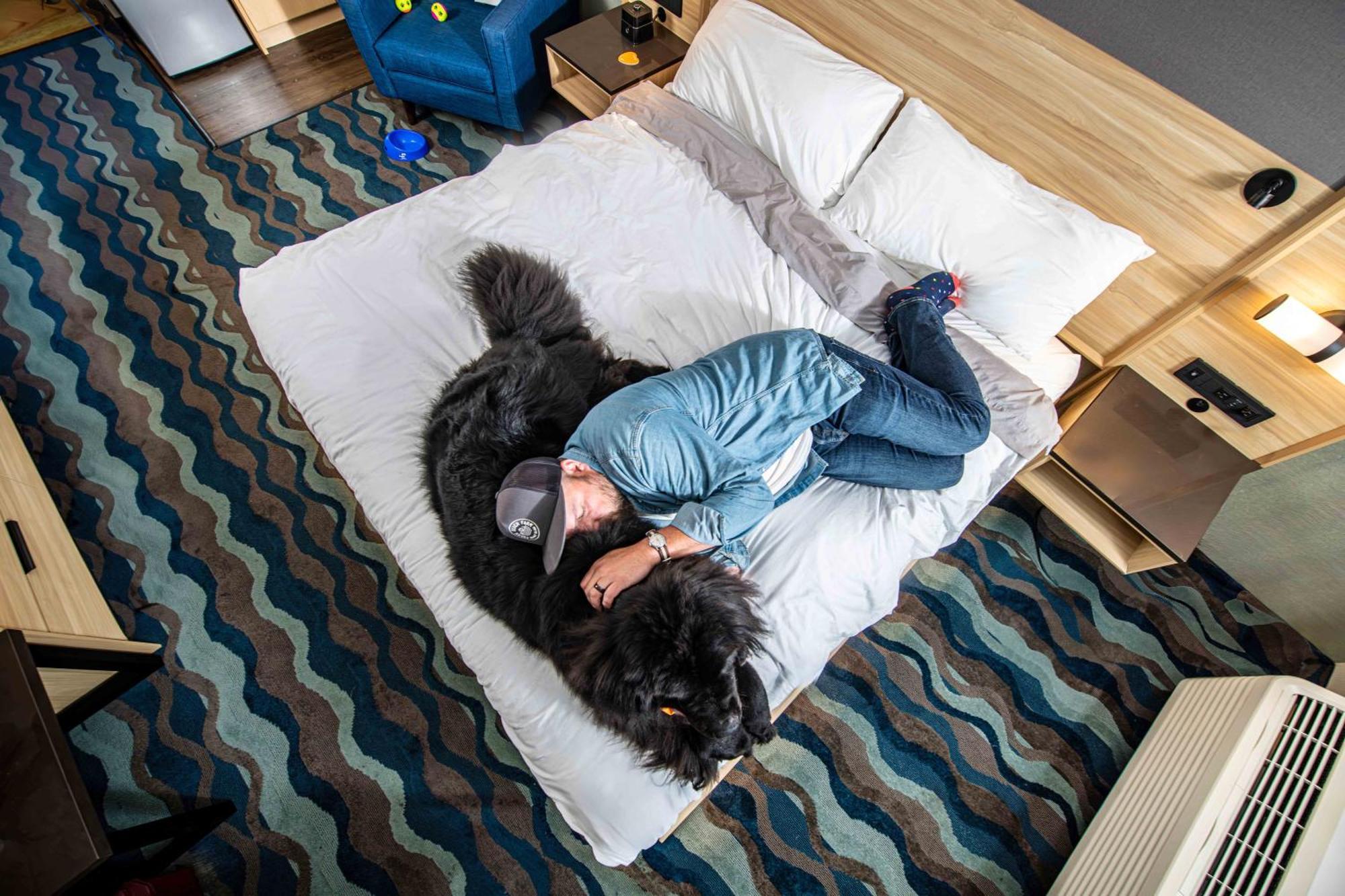 Accent Inns Vancouver Airport Richmond Ngoại thất bức ảnh
