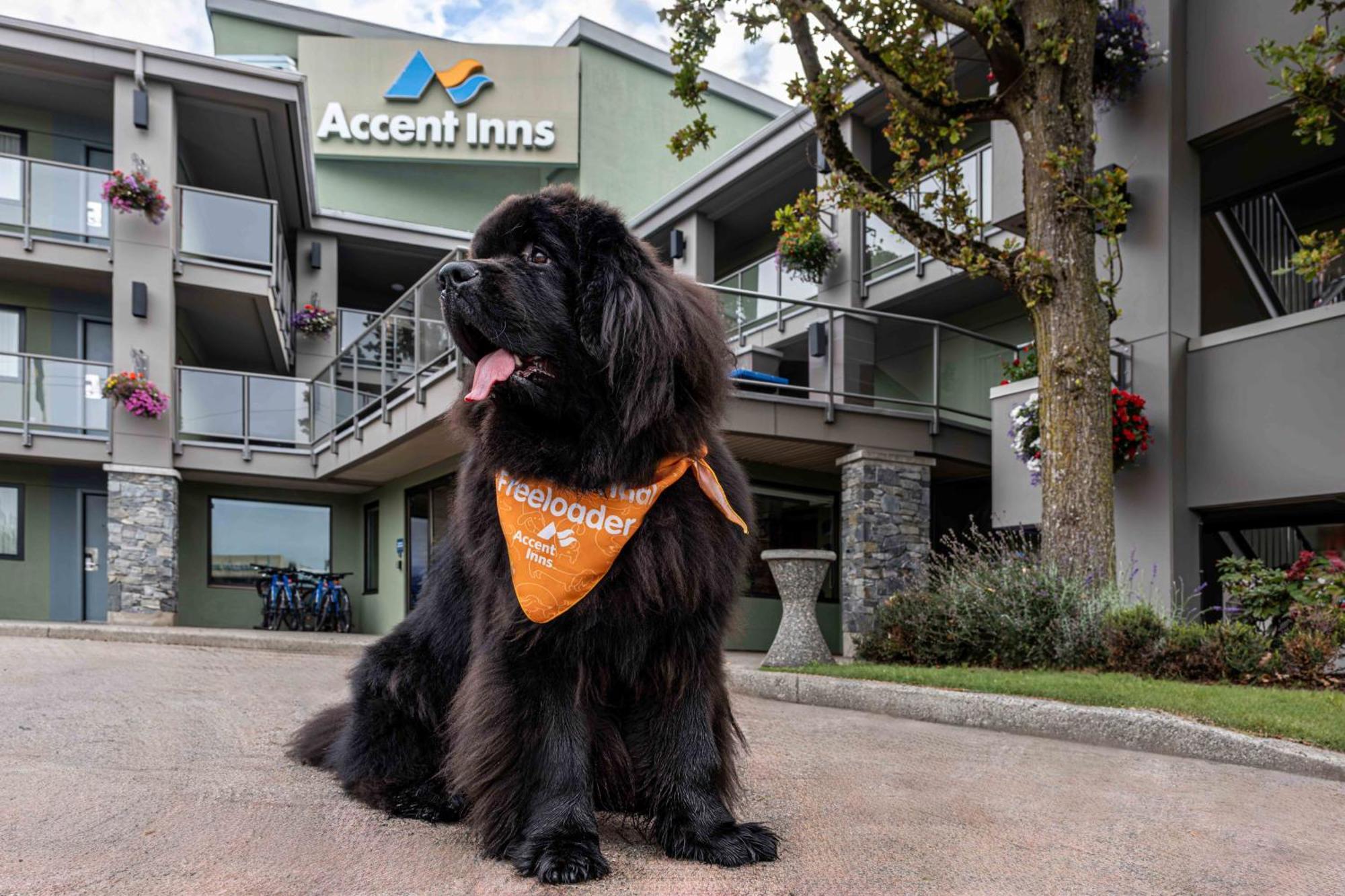Accent Inns Vancouver Airport Richmond Ngoại thất bức ảnh